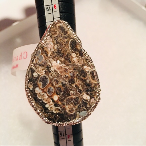 Charlene K Jewelry - Charlene K Ring Adjustable  TurritellaJasper Agate